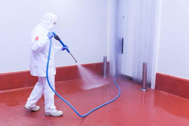 Professional Pressure Washing Services in Ashland, MO